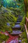 Colorful foliage, garden path,, Ginkakuji (Silver Pavilion) Zen Buddhist Temple Park, Kyoto, Japan. Art Print